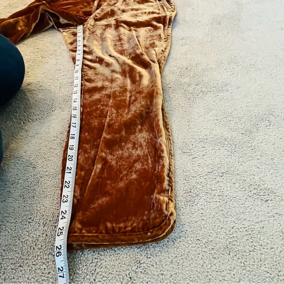 Madewell Gold Velvet Track Pants, size M - Picture 14 of 15